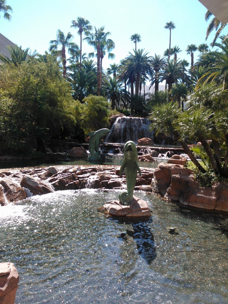 The Dolphins at Mirage aren't as active as they used to.