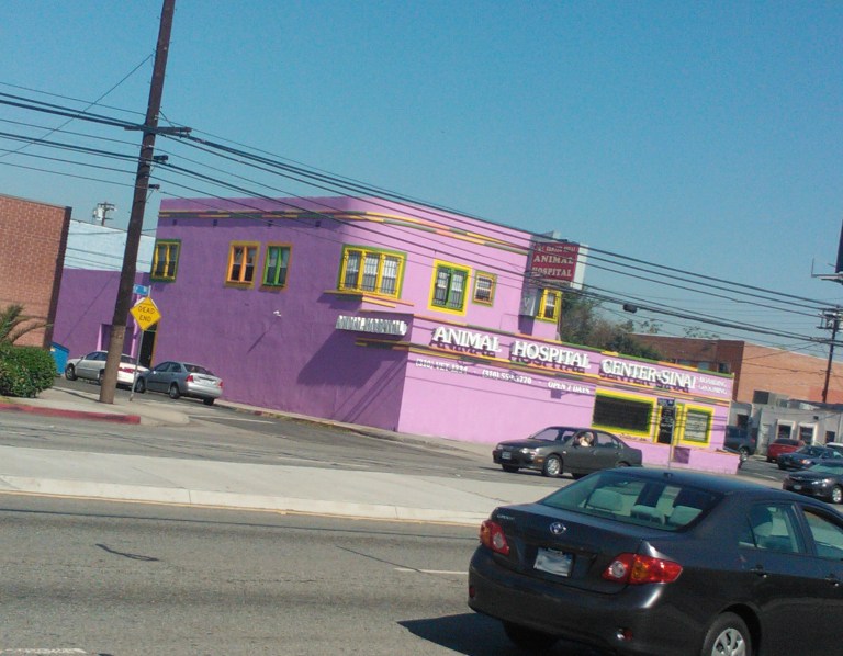 I run pass by this every day. It looks like it should be a Caribbean bed and breakfast or something.